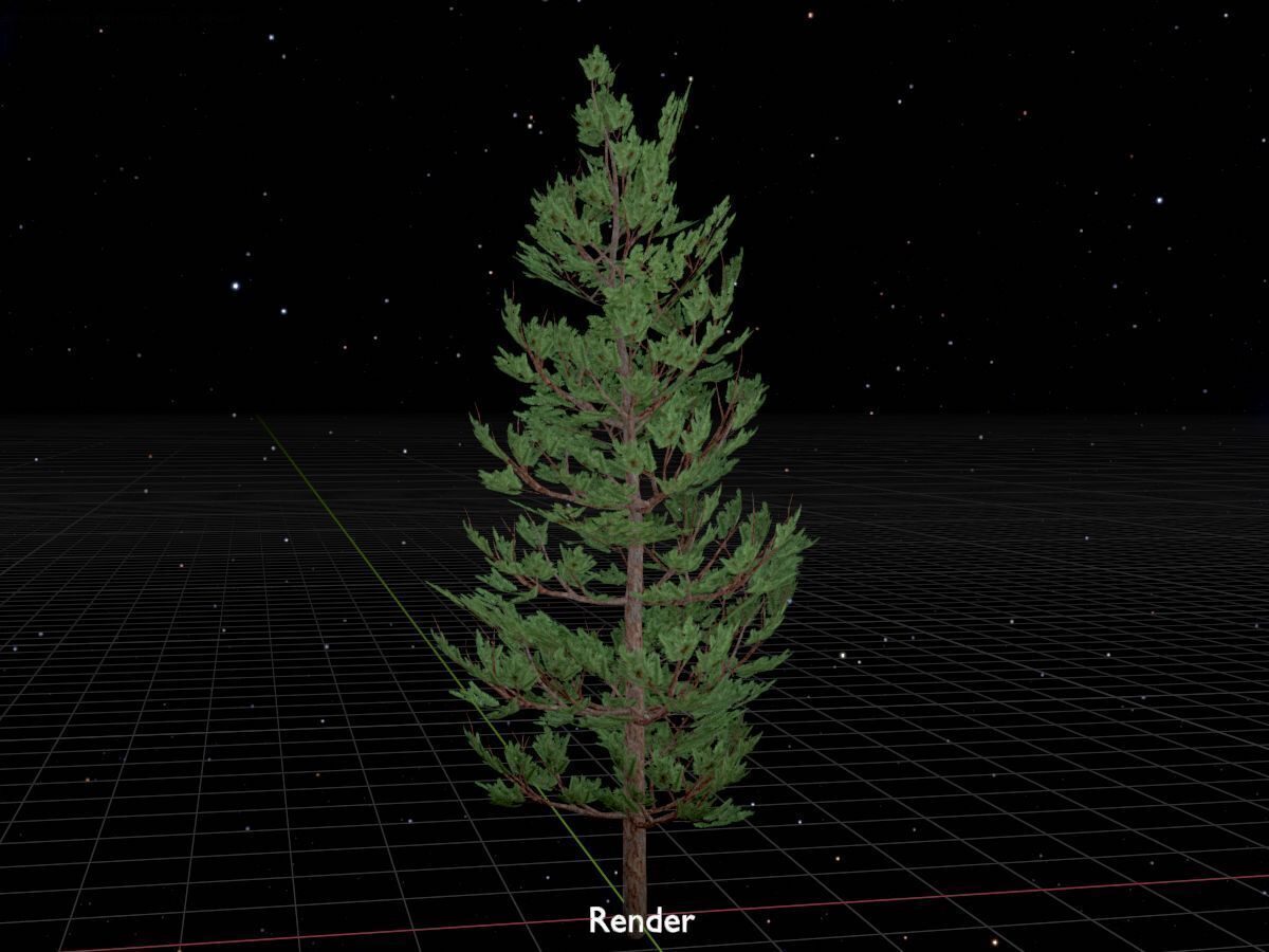 Forest pine summer 8m Low-poly 3D model_17