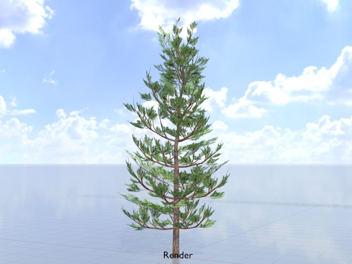 Forest pine summer 8m Low-poly 3D model_15