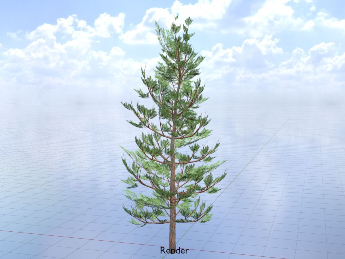 Forest pine summer 8m Low-poly 3D model_19
