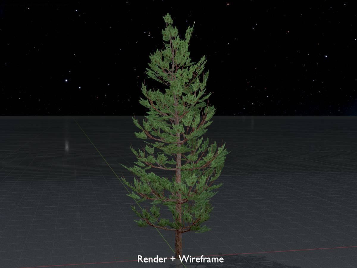 Forest pine summer 8m Low-poly 3D model_8