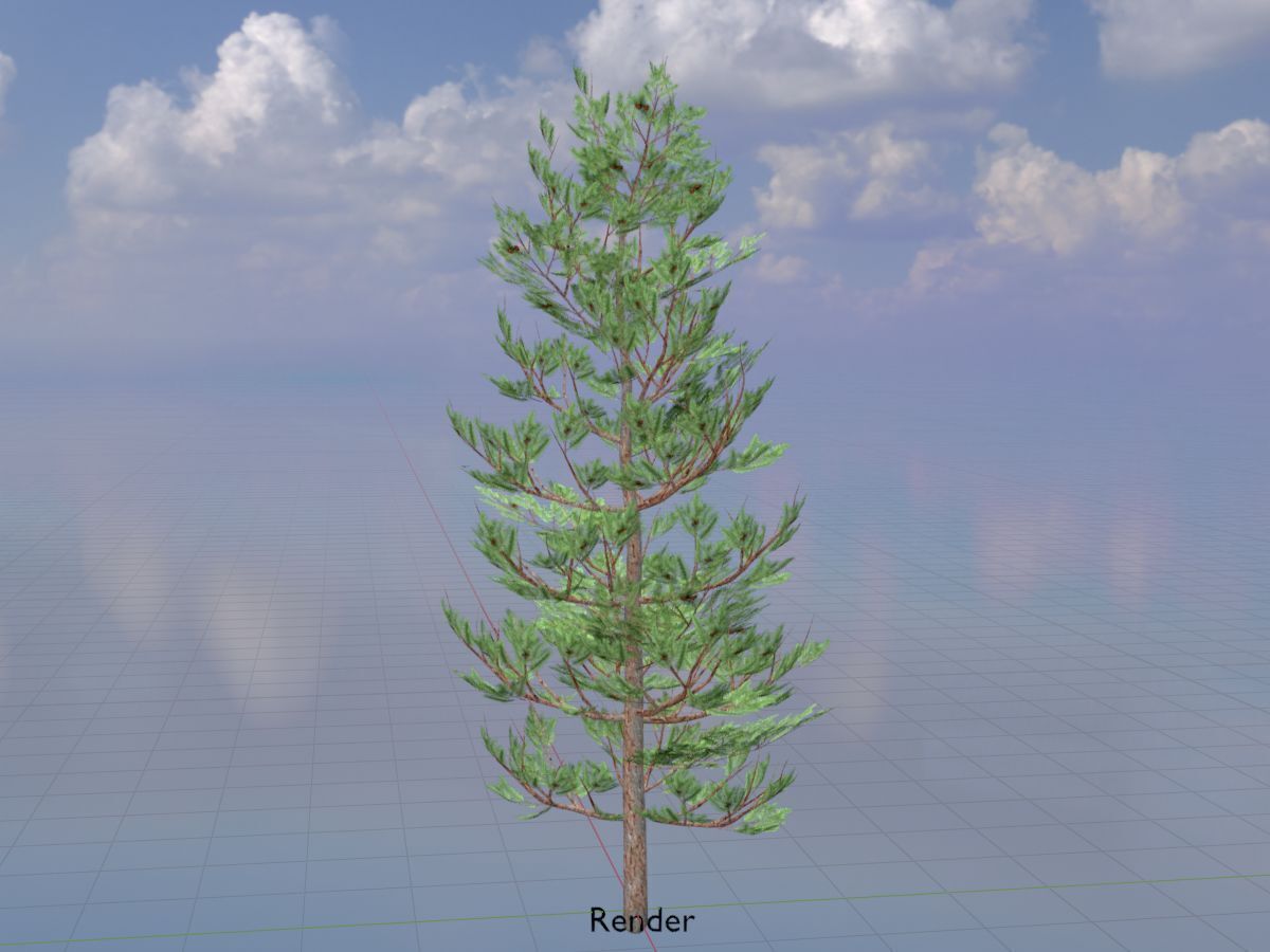 Forest pine summer 8m Low-poly 3D model_18