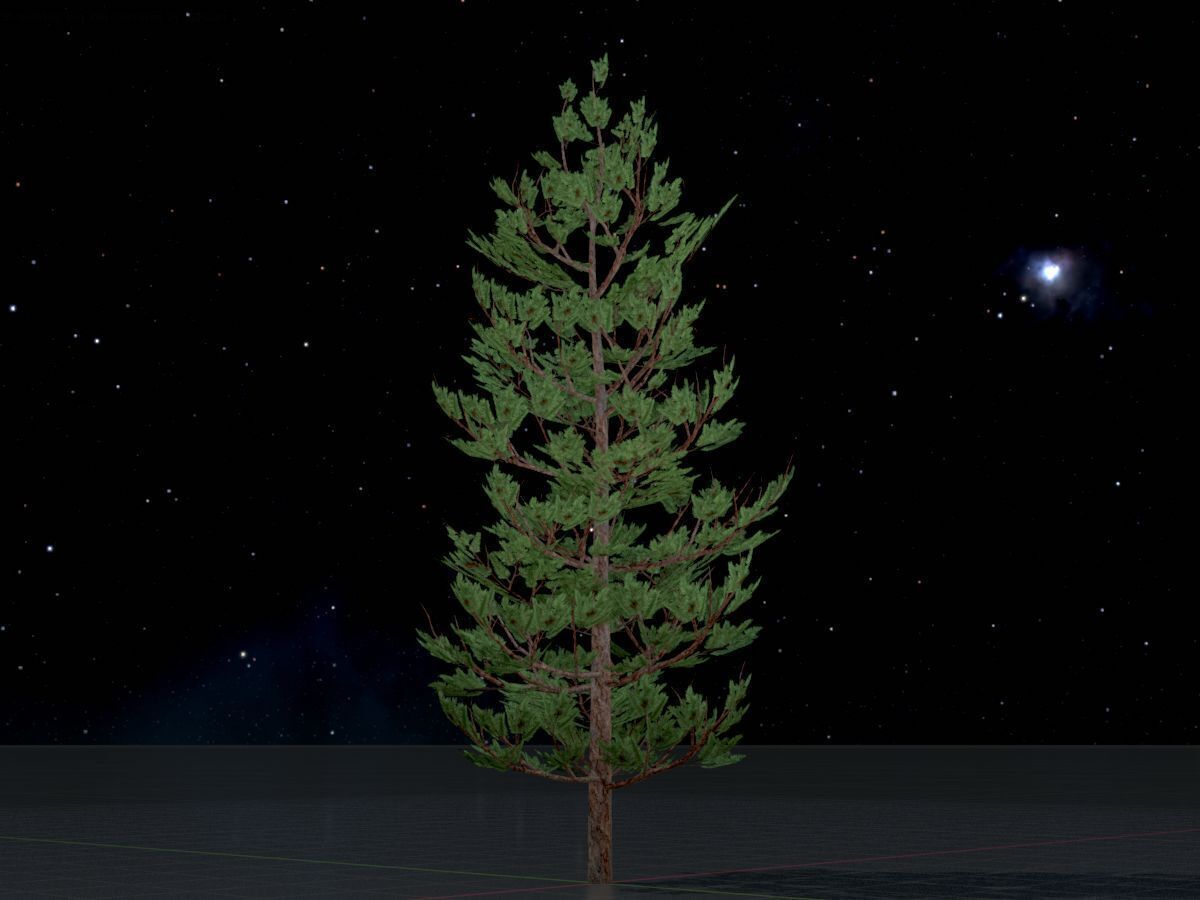 Forest pine summer 8m Low-poly 3D model_4