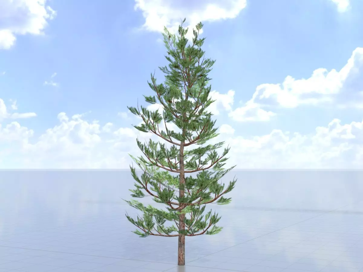 Forest pine summer 8m Low-poly 3D model_0