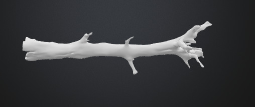 Tree trunk 3D model_4