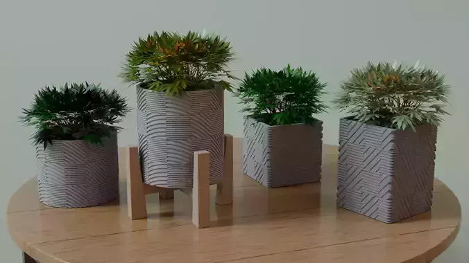 pot with standard square and circular 