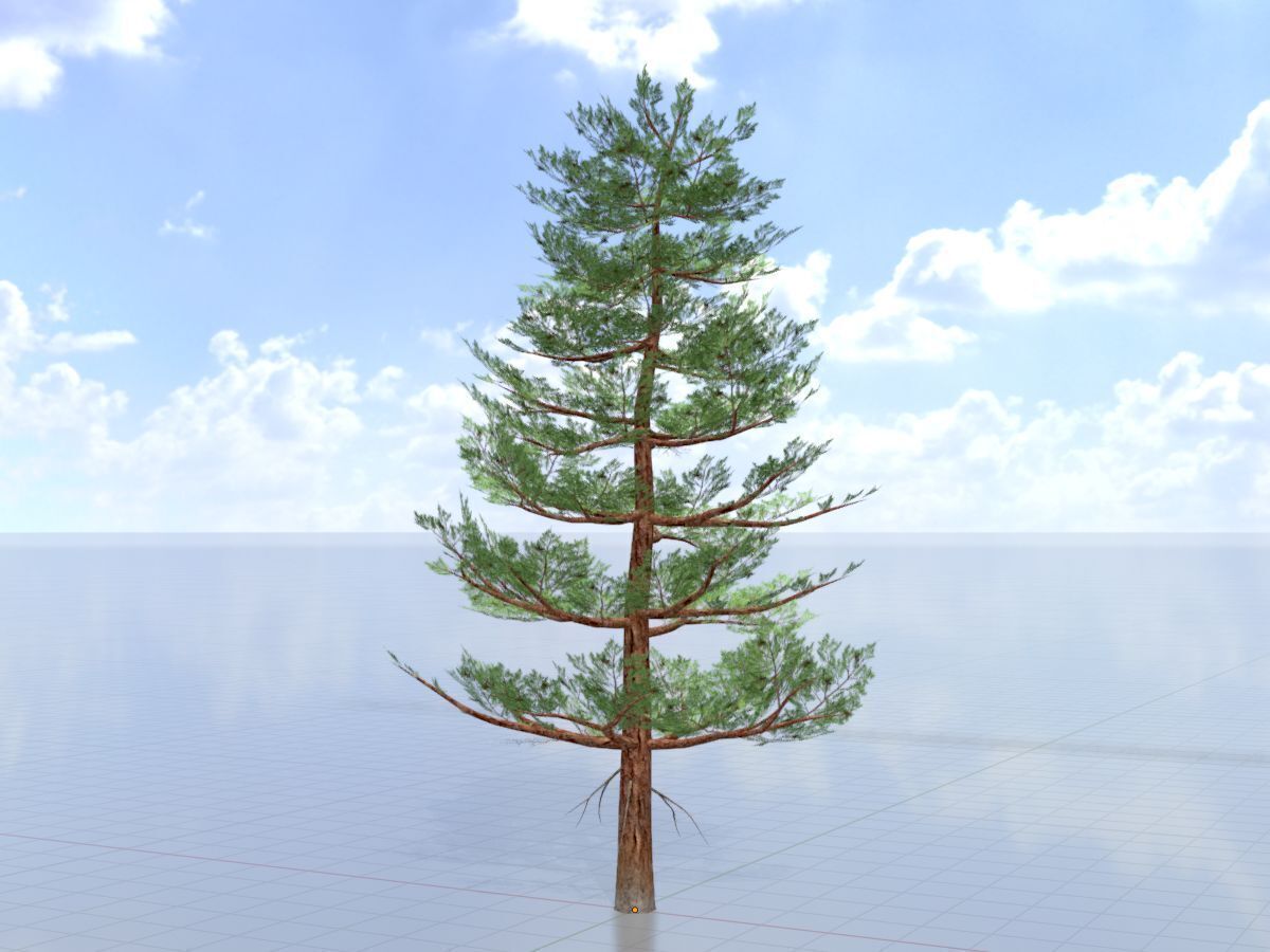 Forest pine summer 12m Low-poly 3D model_3