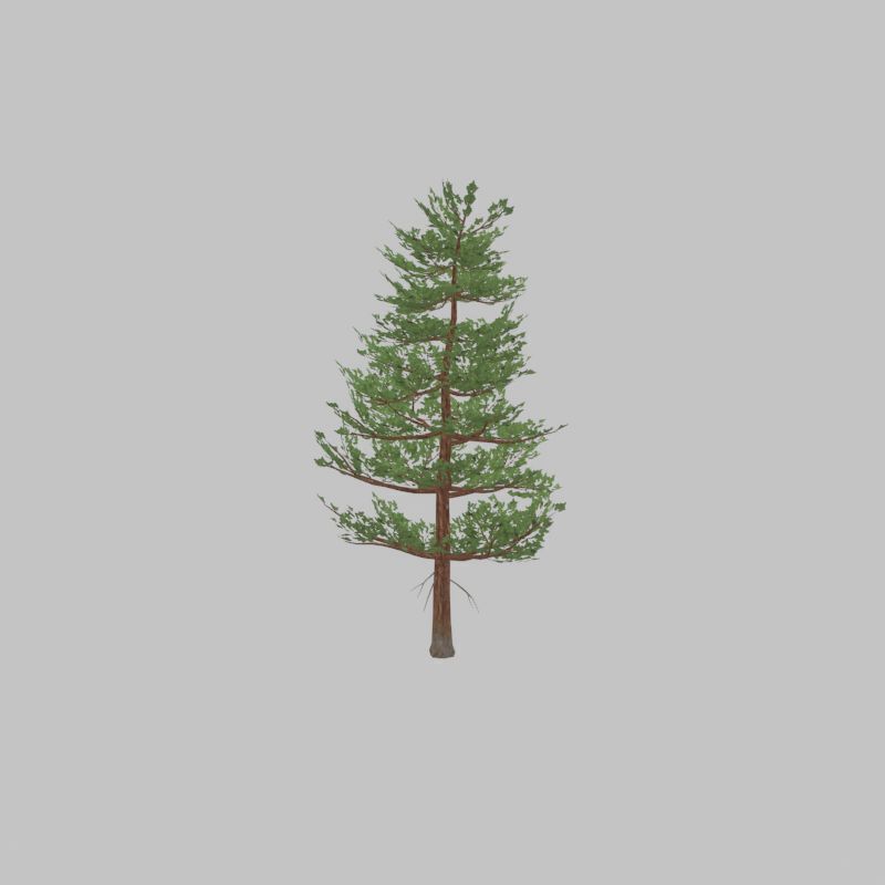 Forest pine summer 12m Low-poly 3D model_44