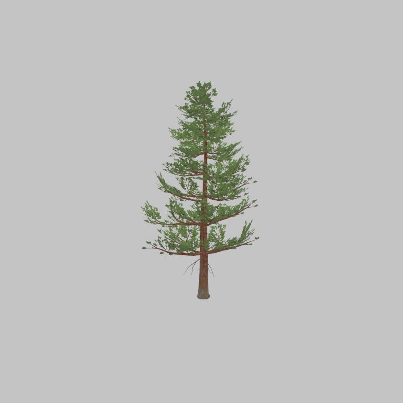Forest pine summer 12m Low-poly 3D model_39