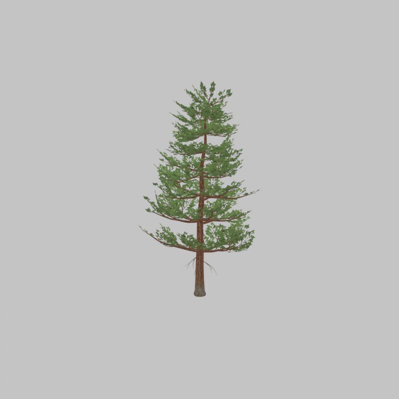 Forest pine summer 12m Low-poly 3D model_43