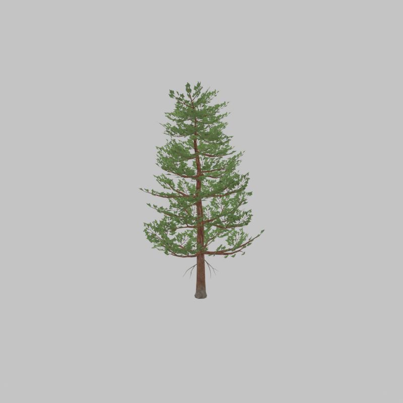 Forest pine summer 12m Low-poly 3D model_29