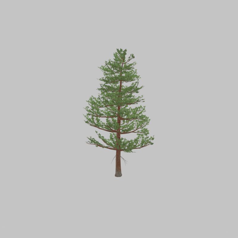 Forest pine summer 12m Low-poly 3D model_46