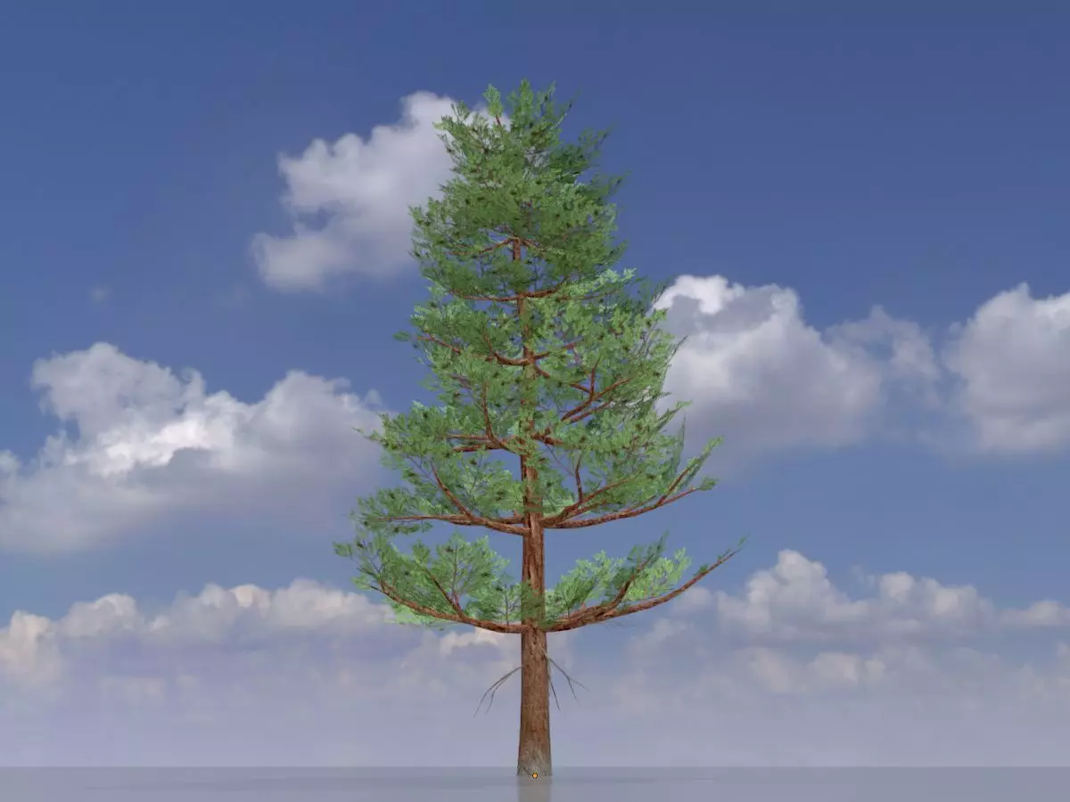 Forest pine summer 12m Low-poly 3D model_0