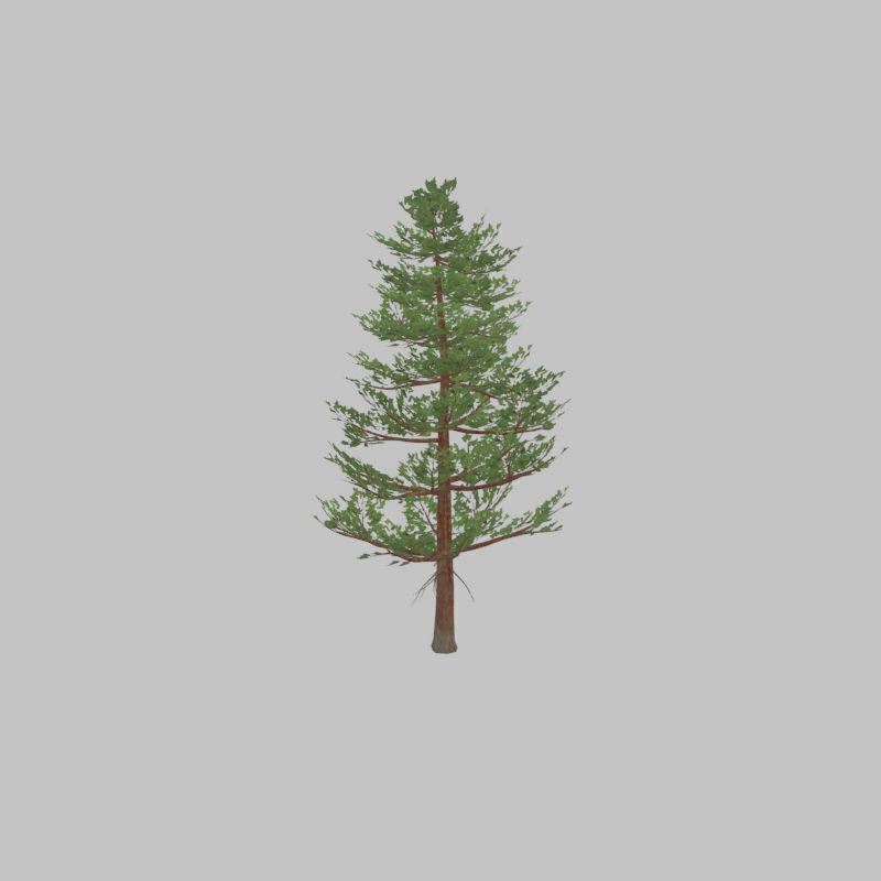 Forest pine summer 12m Low-poly 3D model_36