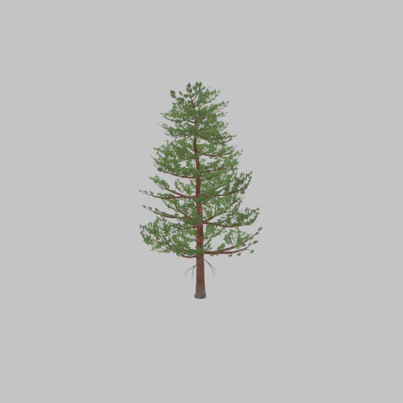 Forest pine summer 12m Low-poly 3D model_28