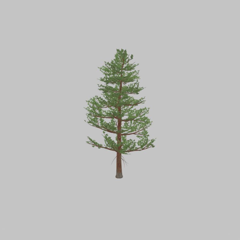 Forest pine summer 12m Low-poly 3D model_47