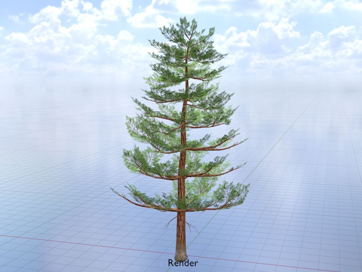 Forest pine summer 12m Low-poly 3D model_19