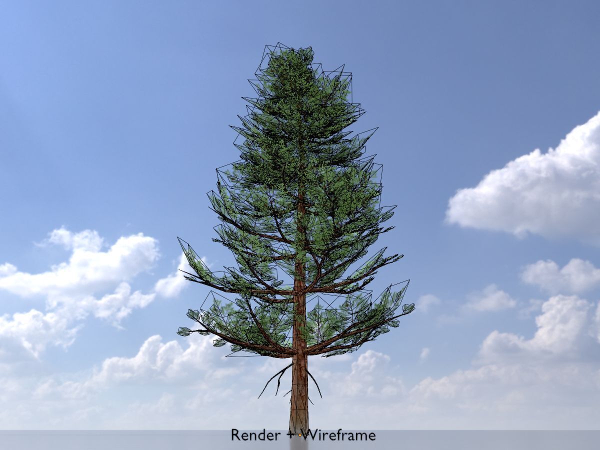 Forest pine summer 12m Low-poly 3D model_6
