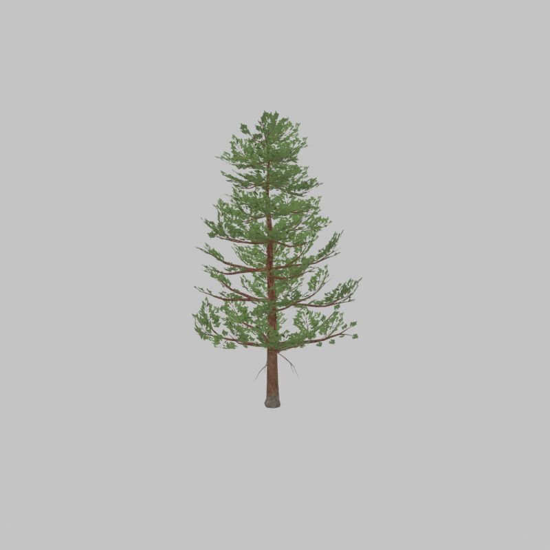 Forest pine summer 12m Low-poly 3D model_26