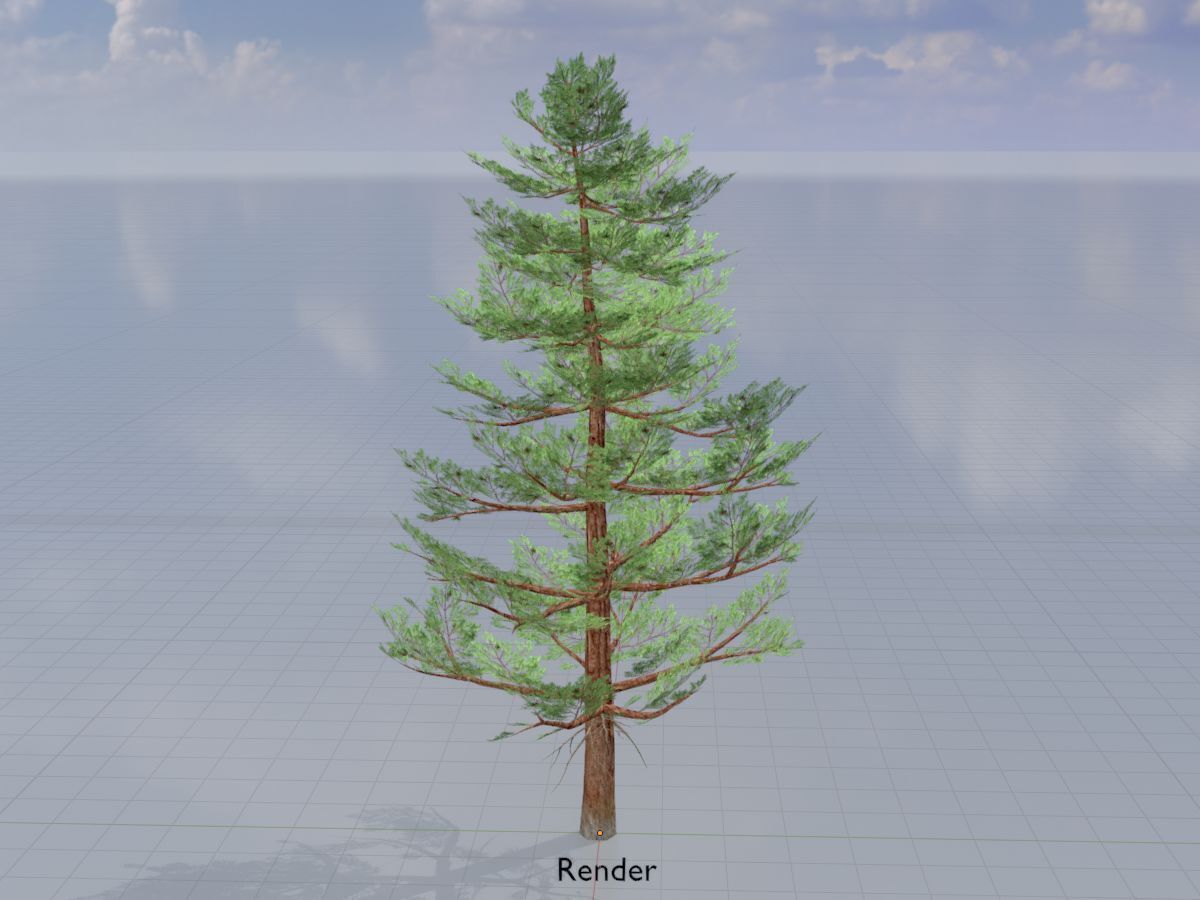 Forest pine summer 12m Low-poly 3D model_14
