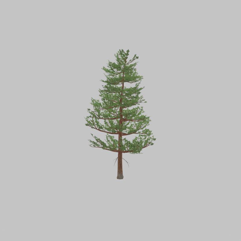 Forest pine summer 12m Low-poly 3D model_45