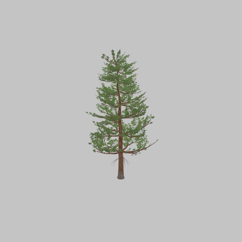 Forest pine summer 12m Low-poly 3D model_30