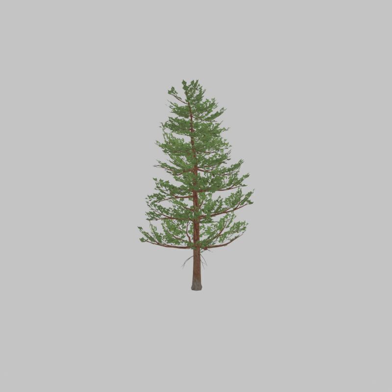 Forest pine summer 12m Low-poly 3D model_33