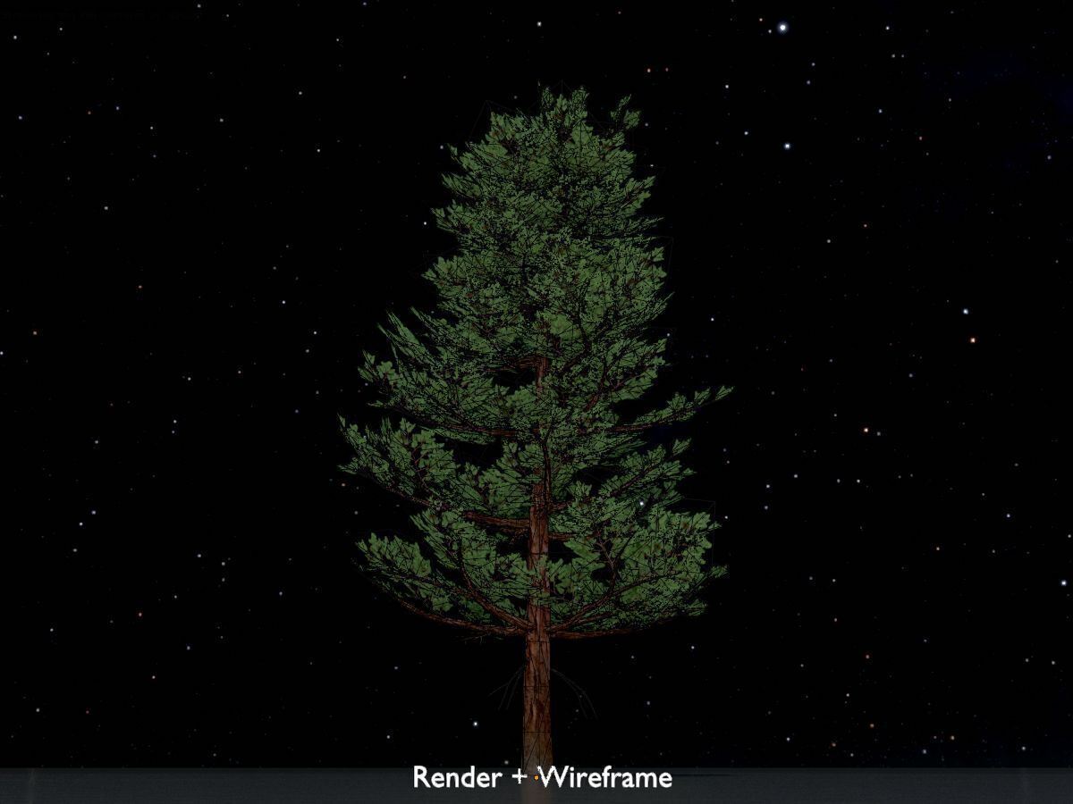 Forest pine summer 12m Low-poly 3D model_7