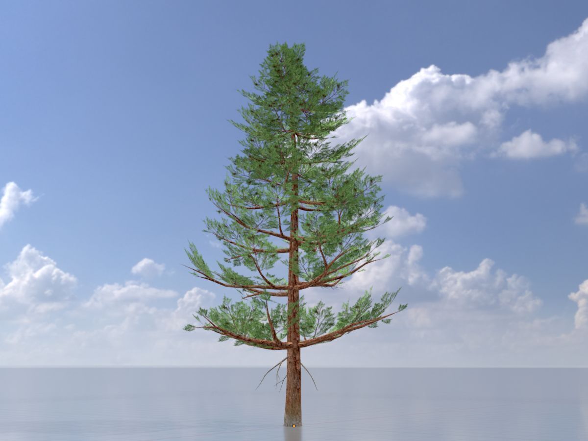 Forest pine summer 12m Low-poly 3D model_2