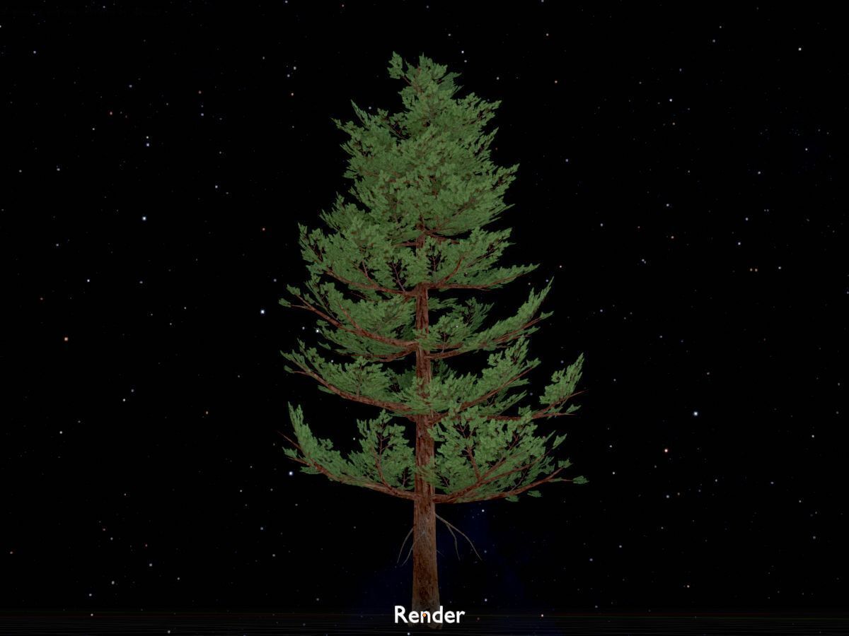 Forest pine summer 12m Low-poly 3D model_20