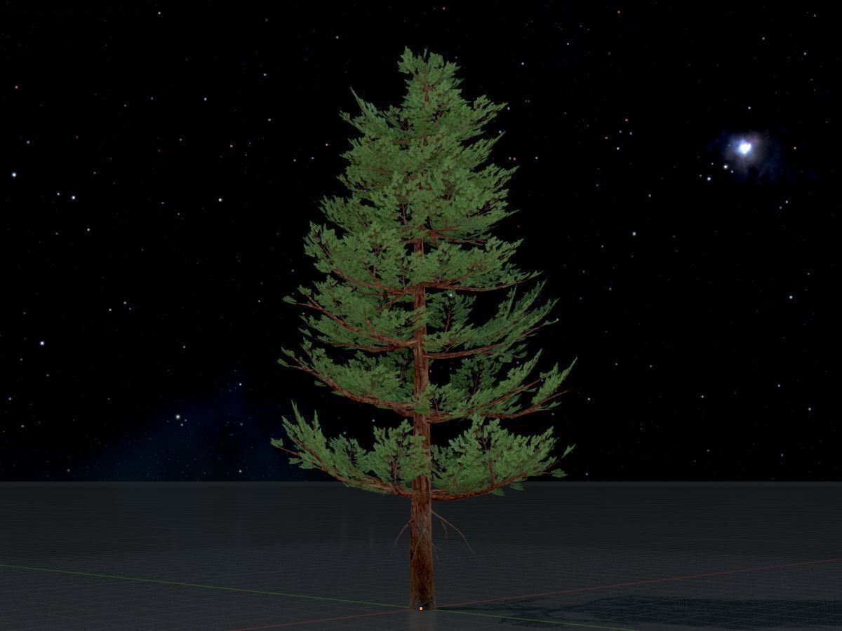 Forest pine summer 12m Low-poly 3D model_4