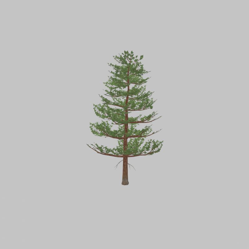 Forest pine summer 12m Low-poly 3D model_32