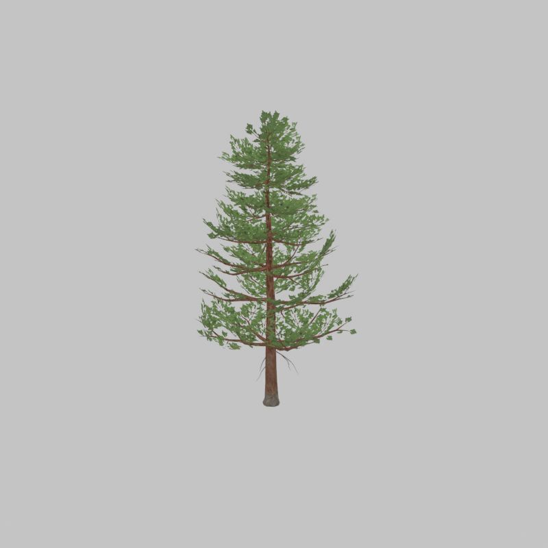 Forest pine summer 12m Low-poly 3D model_25