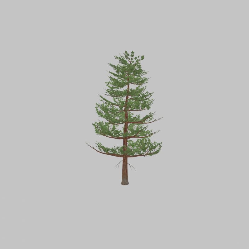 Forest pine summer 12m Low-poly 3D model_42