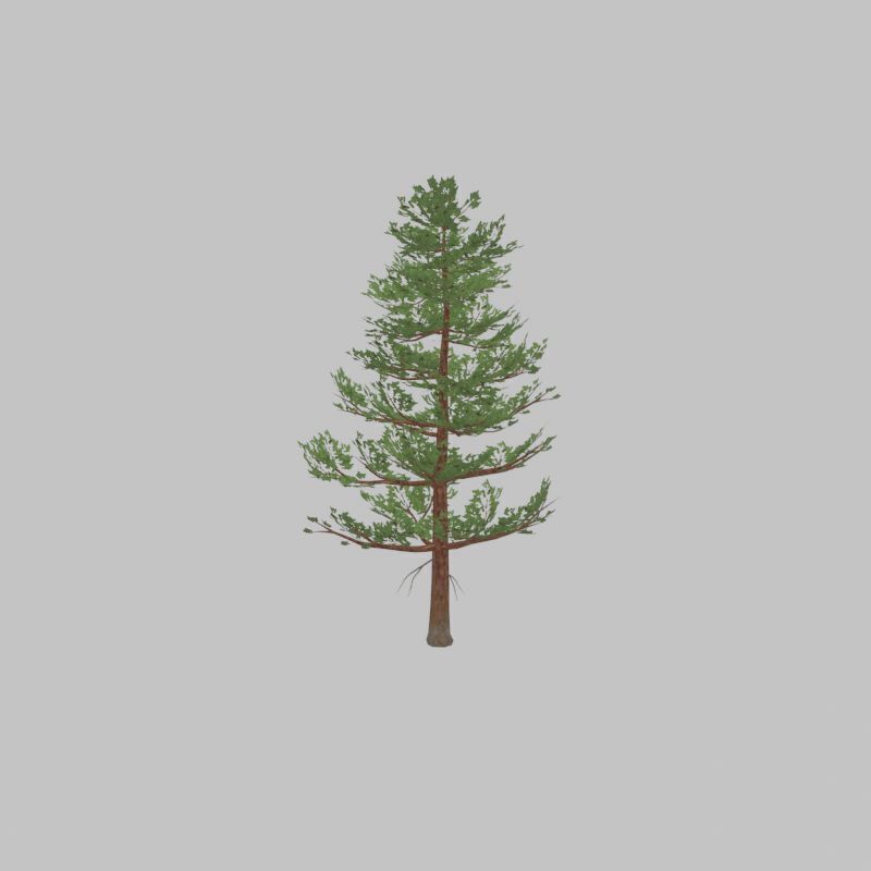 Forest pine summer 12m Low-poly 3D model_40