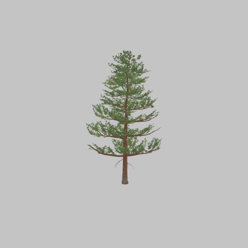Forest pine summer 12m Low-poly 3D model_21