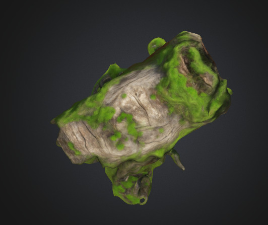 Moss Tree Trunk 3D model_3