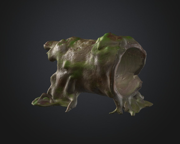 Moss Tree Trunk 3D model_5