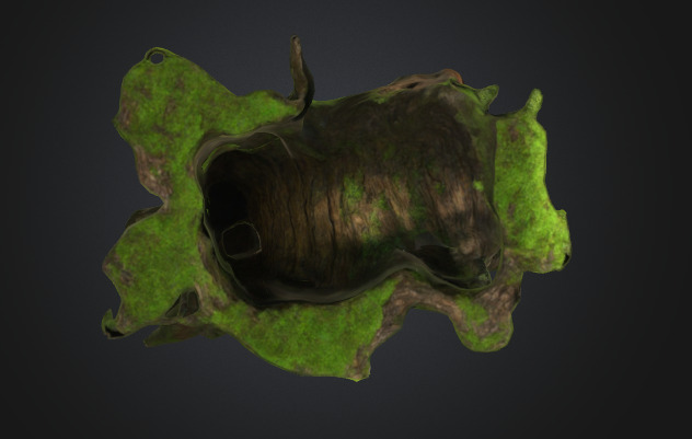 Moss Tree Trunk 3D model_2