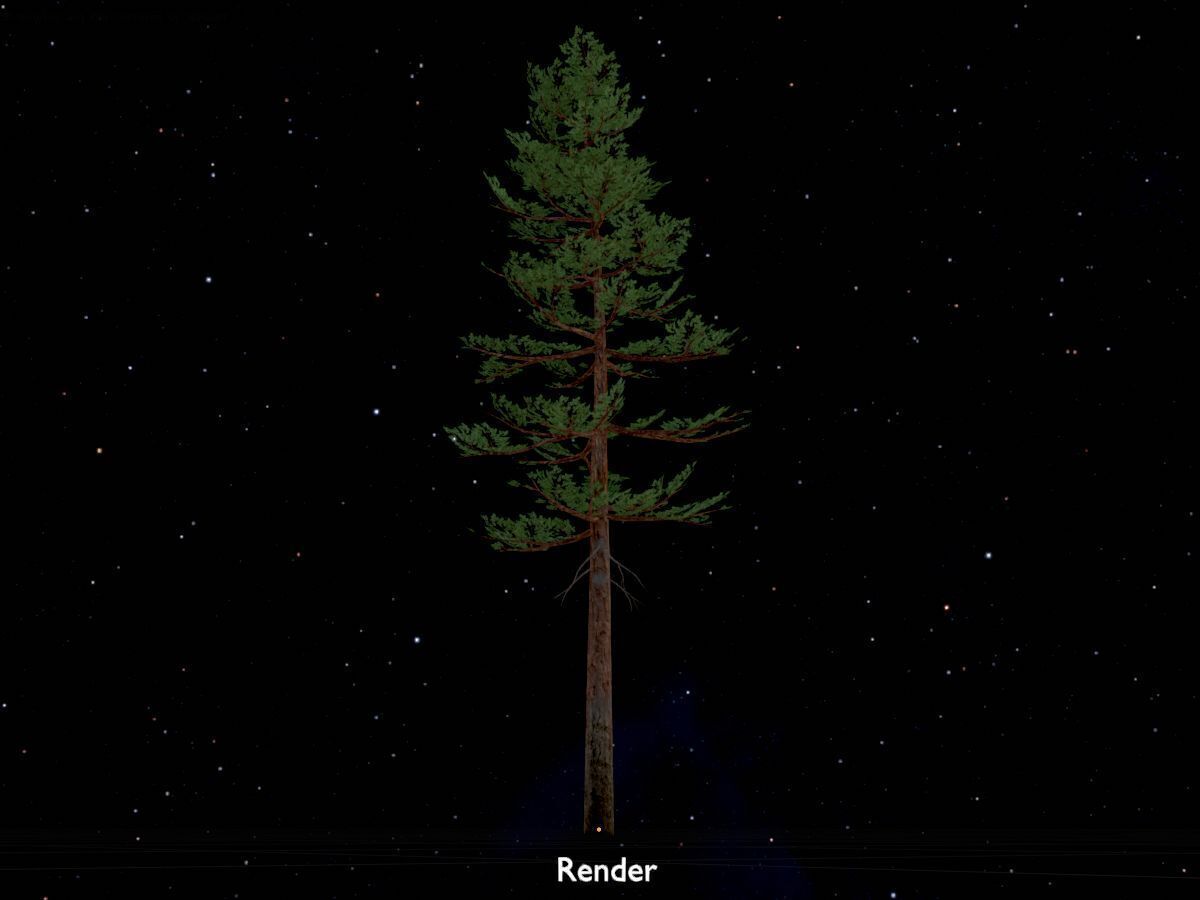 Forest pine summer 23m Low-poly 3D model_20