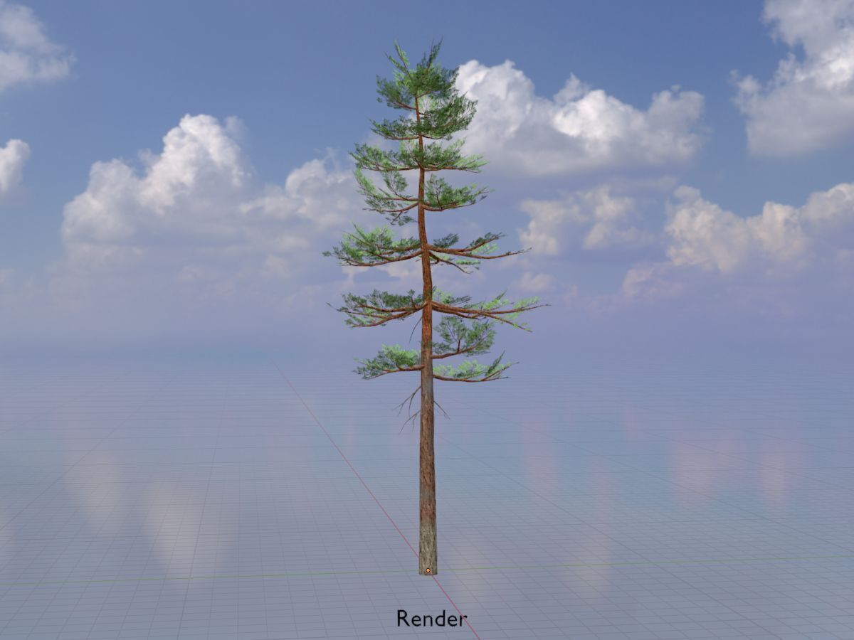 Forest pine summer 23m Low-poly 3D model_18