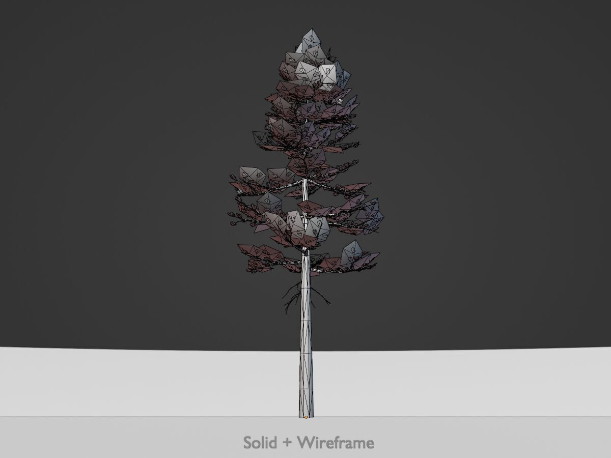 Forest pine summer 23m Low-poly 3D model_10