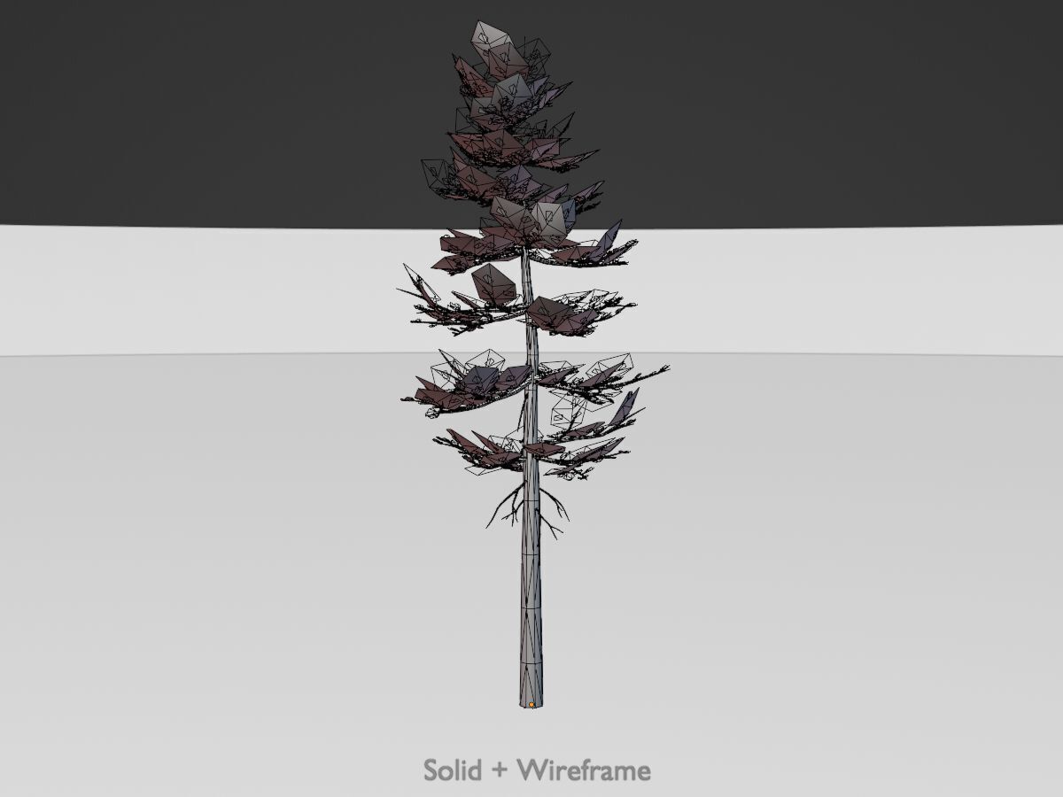Forest pine summer 23m Low-poly 3D model_12
