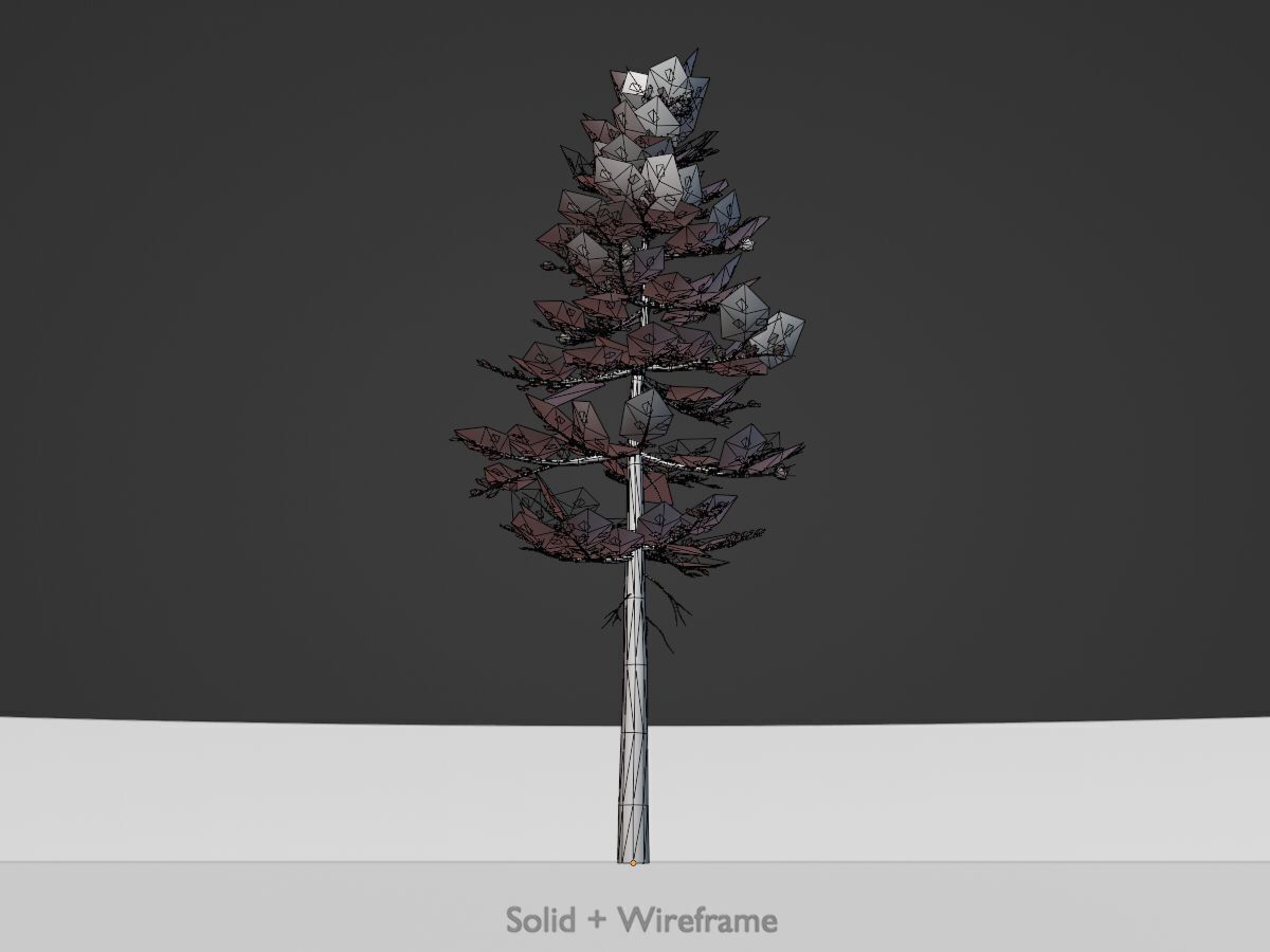 Forest pine summer 23m Low-poly 3D model_11