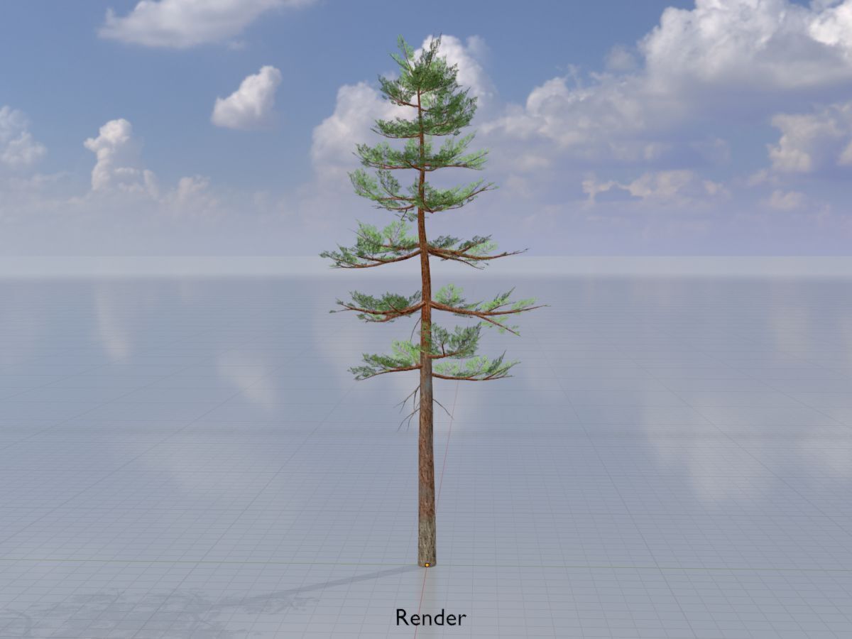Forest pine summer 23m Low-poly 3D model_14