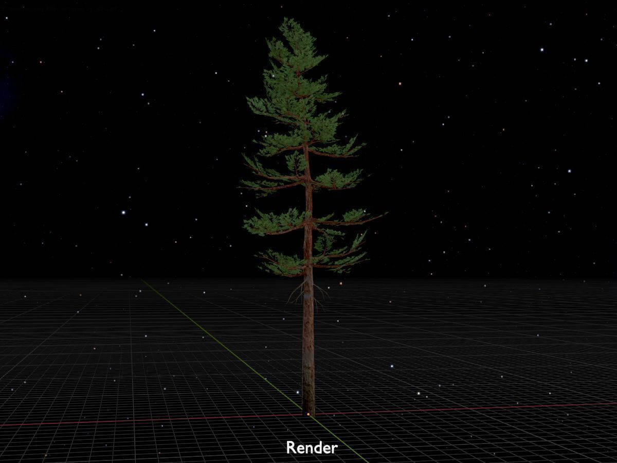 Forest pine summer 23m Low-poly 3D model_17