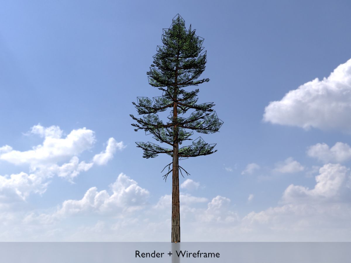 Forest pine summer 23m Low-poly 3D model_6