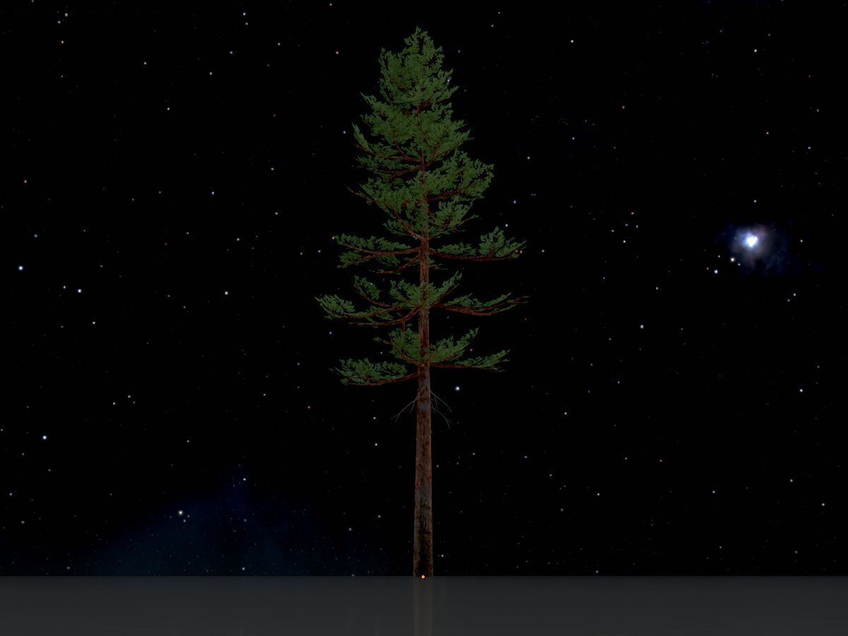 Forest pine summer 23m Low-poly 3D model_4