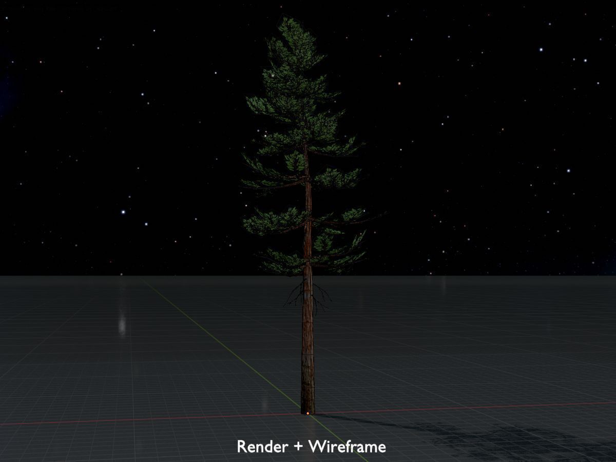 Forest pine summer 23m Low-poly 3D model_8