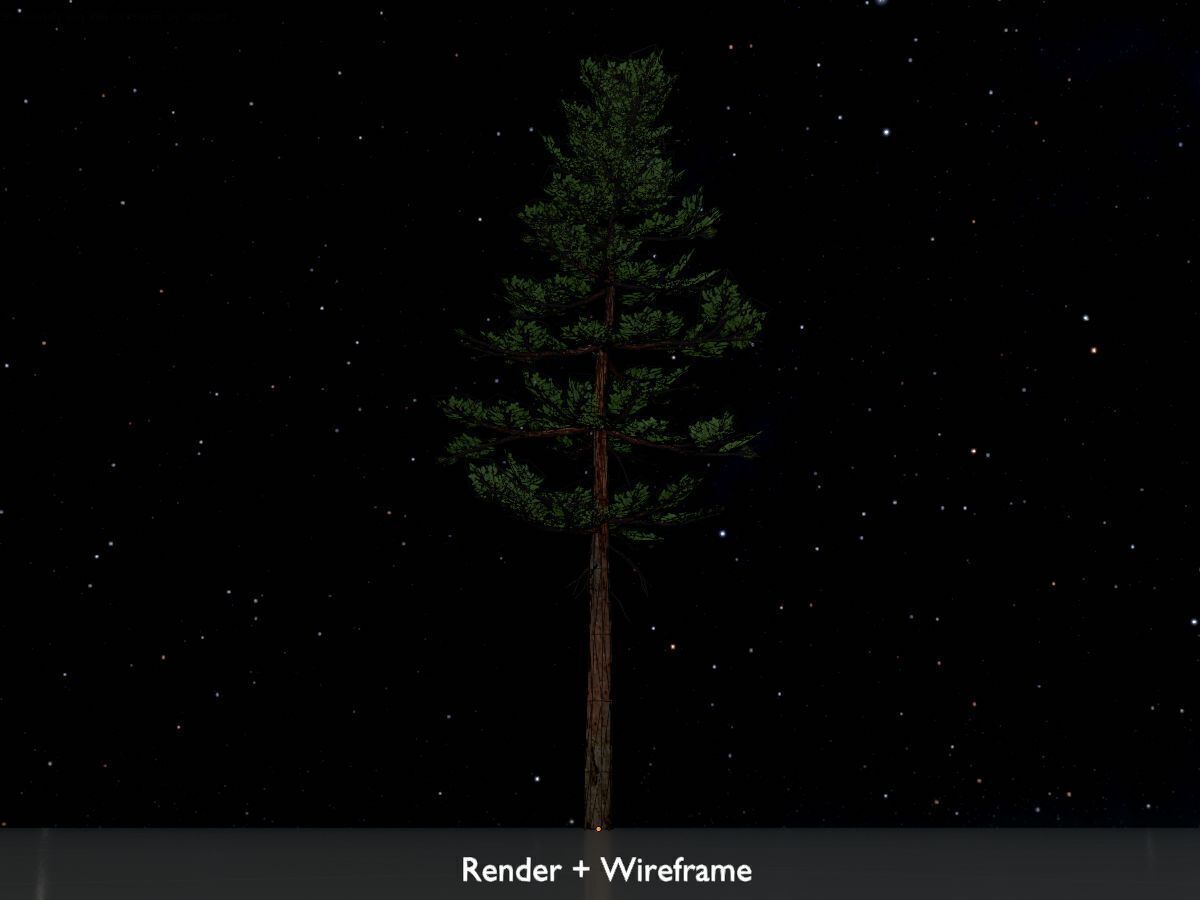 Forest pine summer 23m Low-poly 3D model_7