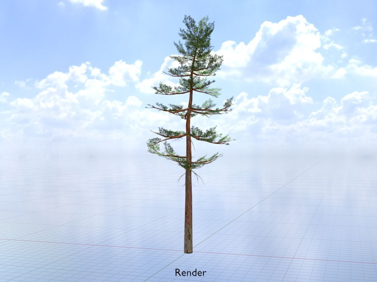 Forest pine summer 23m Low-poly 3D model_19